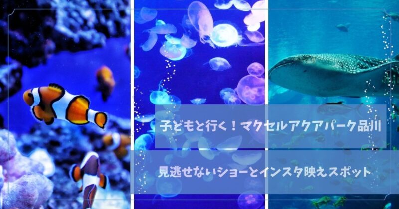 マクセルアクアパーク品川アイキャッチ画像